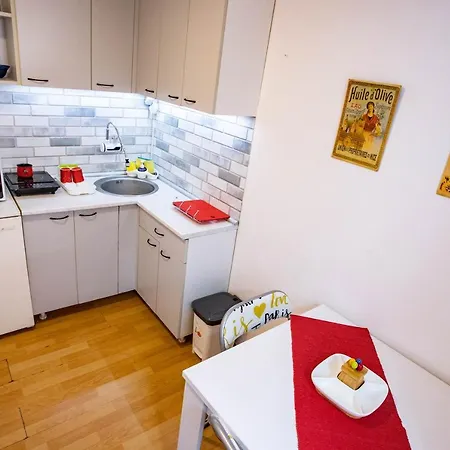 Apartment Paris Night Private Parking Nis